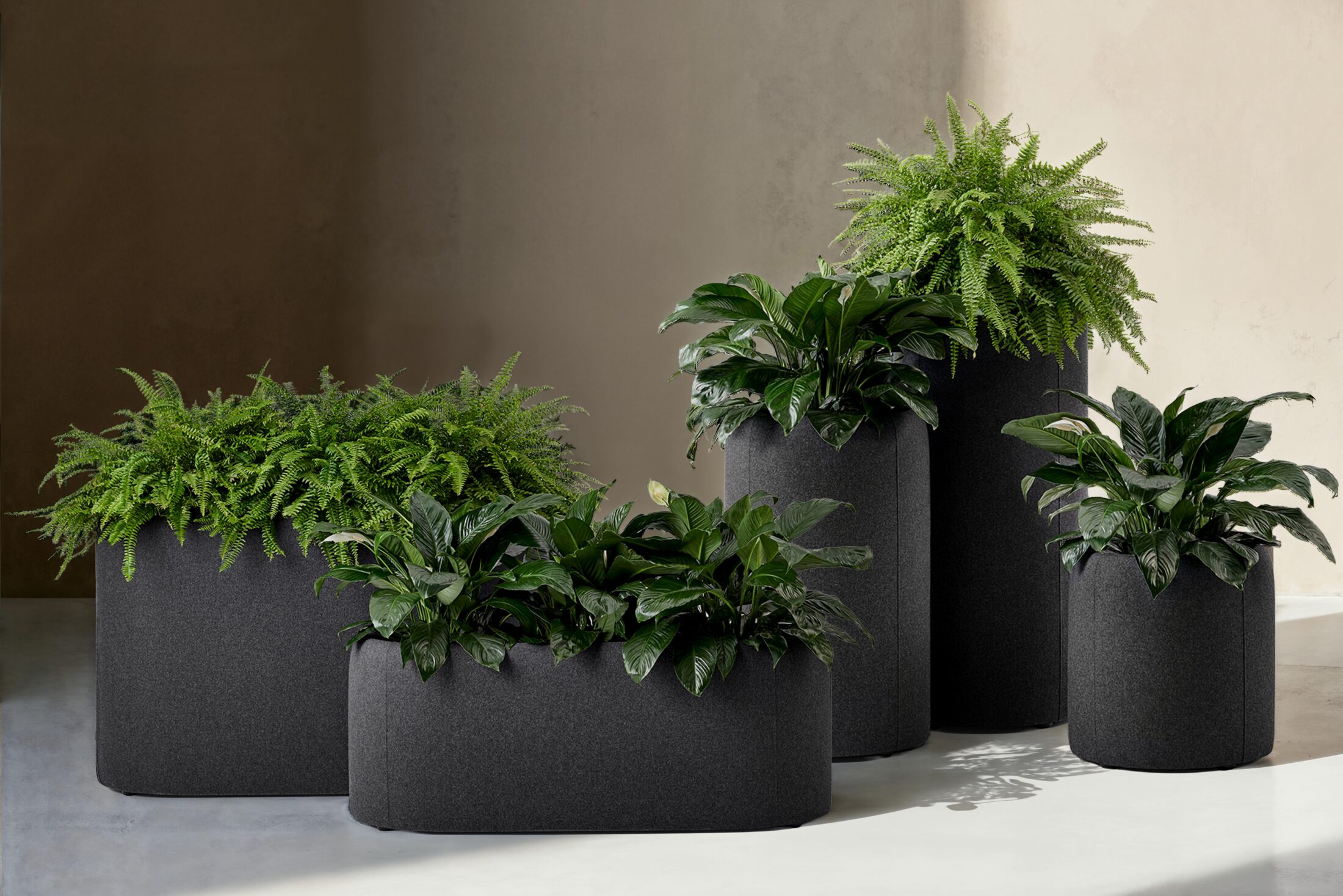 Buzzi Planter Buzzi Planter